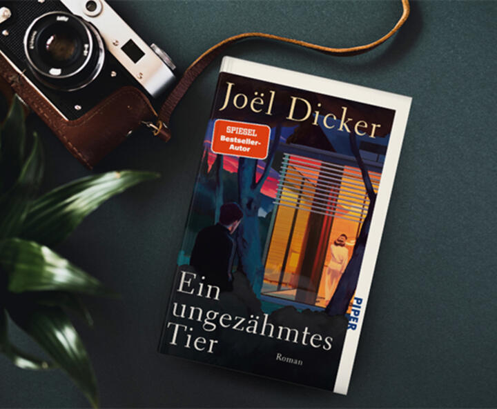 Cover des Buches 'Ein ungezähmtes Tier' von Joël Dicker 