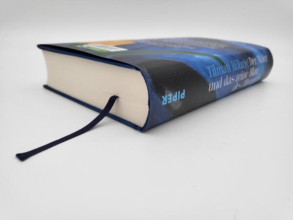 Innenansicht des Buches „Der Maler und das reine Blau des Himmels“