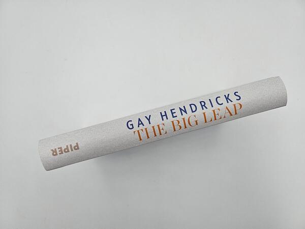 Außenansicht des Buches „The Big Leap“