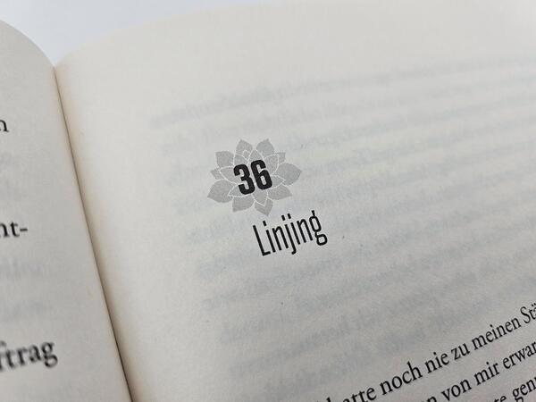 Außenansicht des Buches „Die Lotosschuhe“