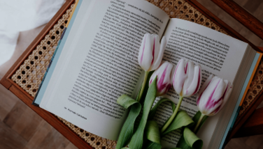 Buchempfehlungen Ostern 2026