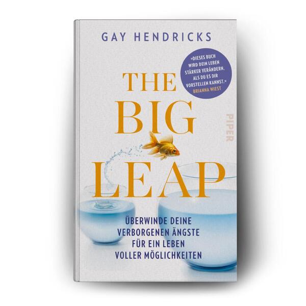 Außenansicht des Buches „The Big Leap“