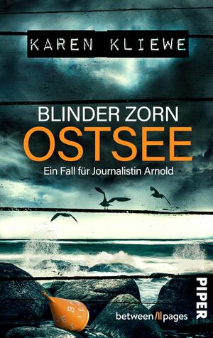 Blinder Zorn: Ostsee (Ein Fall für Journalistin Arnold  5)