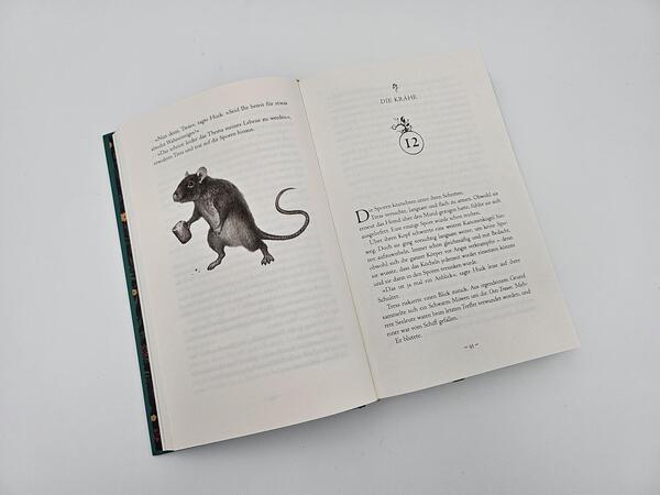 Innenansicht des Buches „Weit über der smaragdgrünen See“