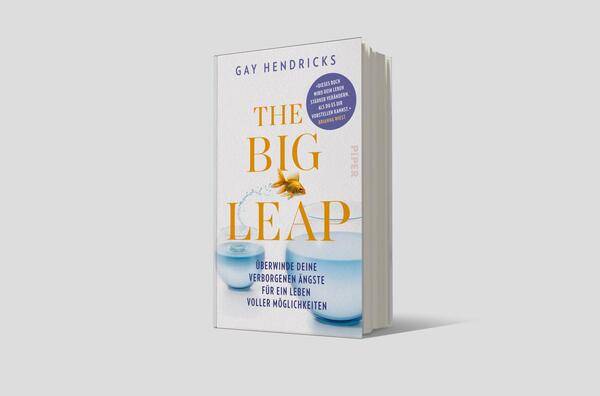 Außenansicht des Buches „The Big Leap“