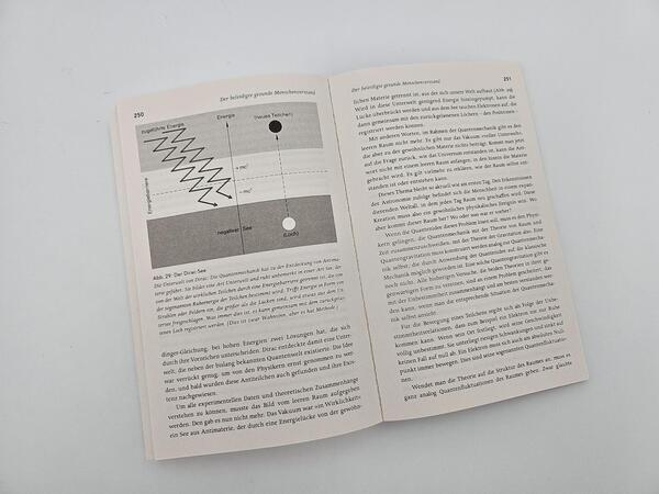 Außenansicht des Buches „Die Stunde der Physiker“