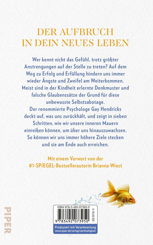 Rückansicht des Buches „The Big Leap“