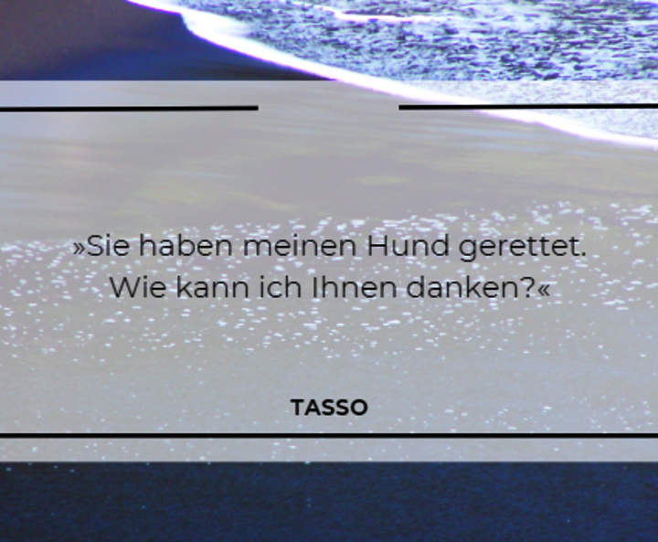 Zitat von Tasso aus Luise Holthausens „Das kleine Gestüt an der Nordsee“