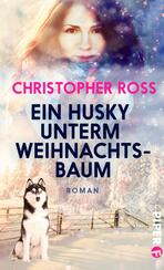 Ein Husky unterm Weihnachtsbaum