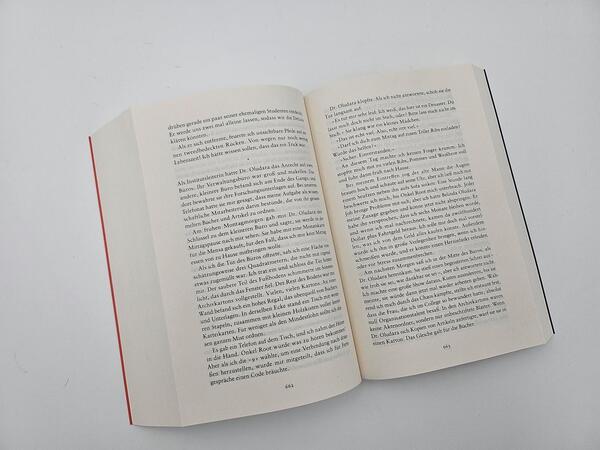 Innenansicht des Buches „Die Liebeslieder von W.E.B. Du Bois“