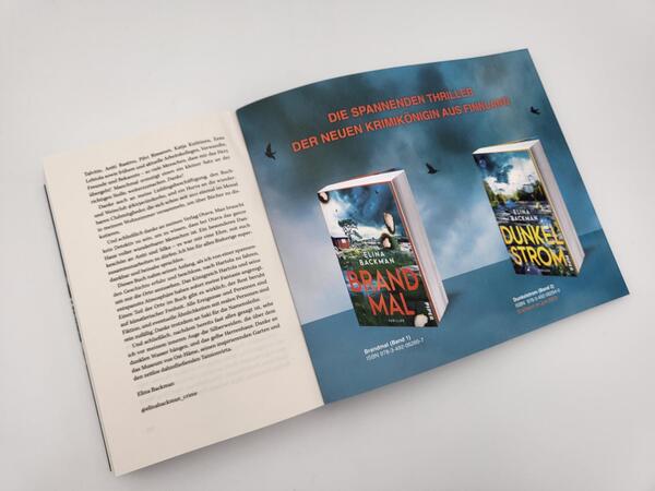 Innenansicht des Buches „Brandmal“