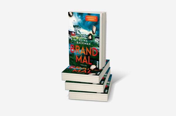 Bücherstapel des Buches „Brandmal“