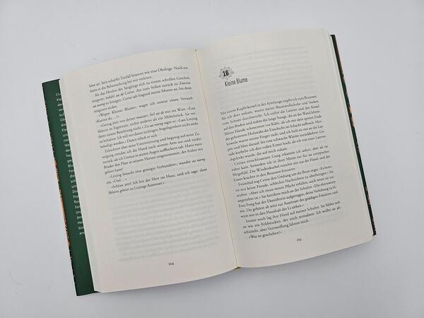 Außenansicht des Buches „Die Lotosschuhe“