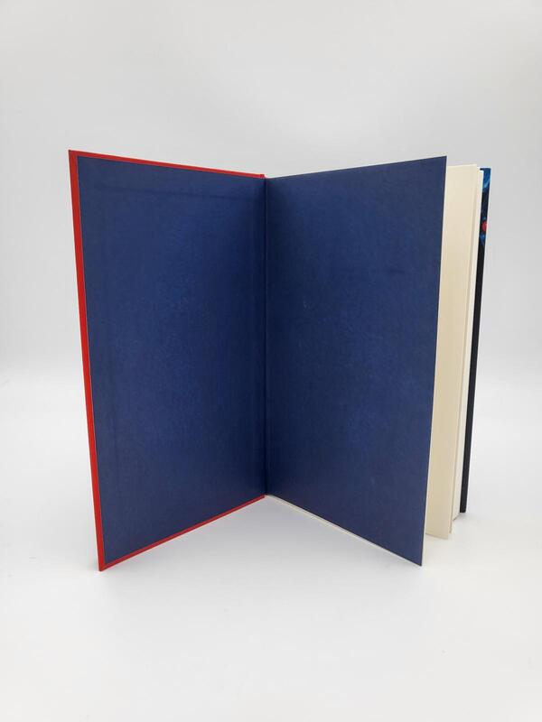 Innenansicht des Buches „Verlorene der Zeiten“